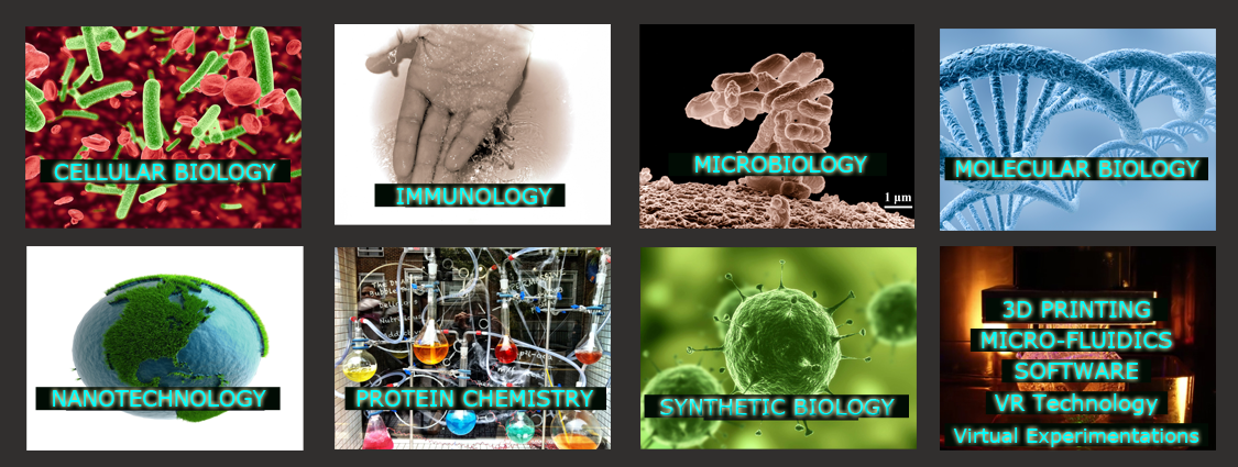 Seven Fields of Science portal template